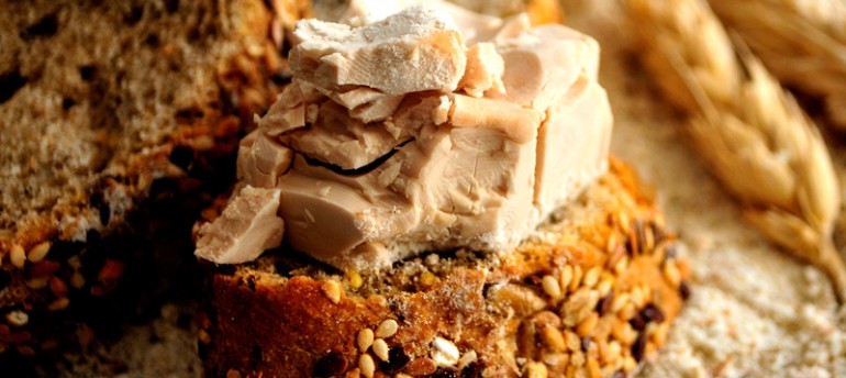 Aliquam erat volutpat